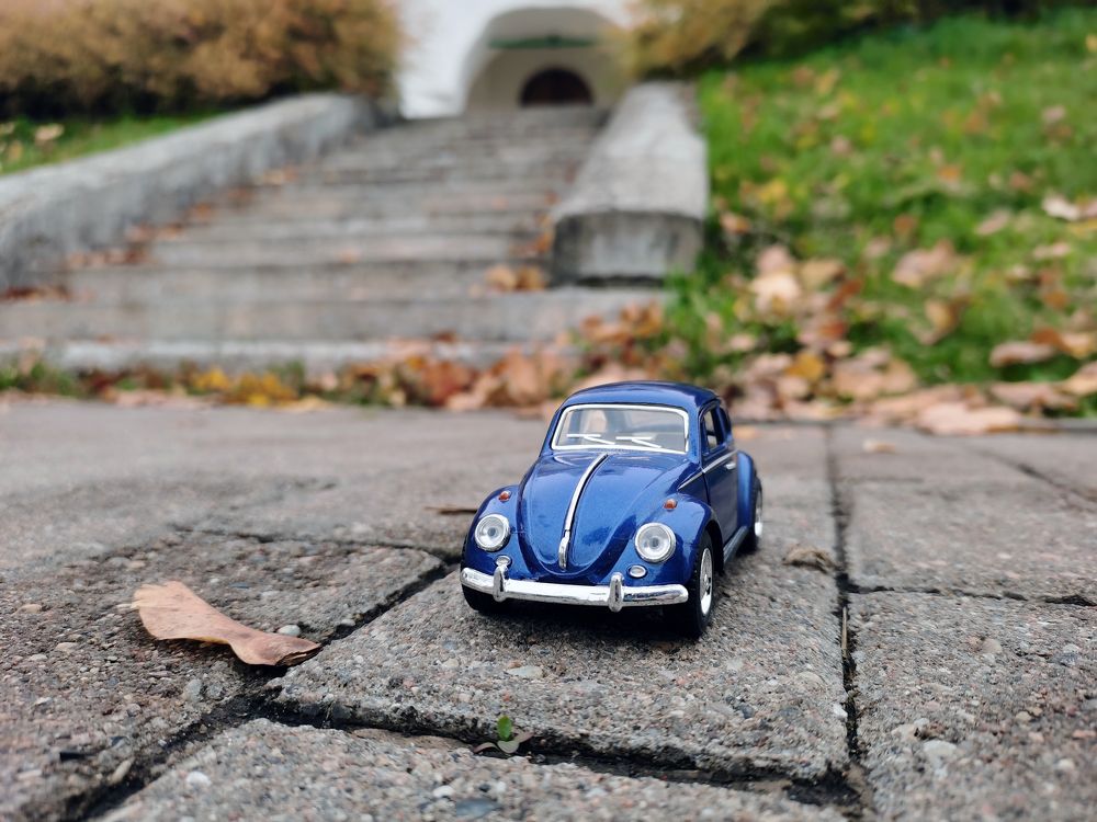 Photograph by Анна Сойтту