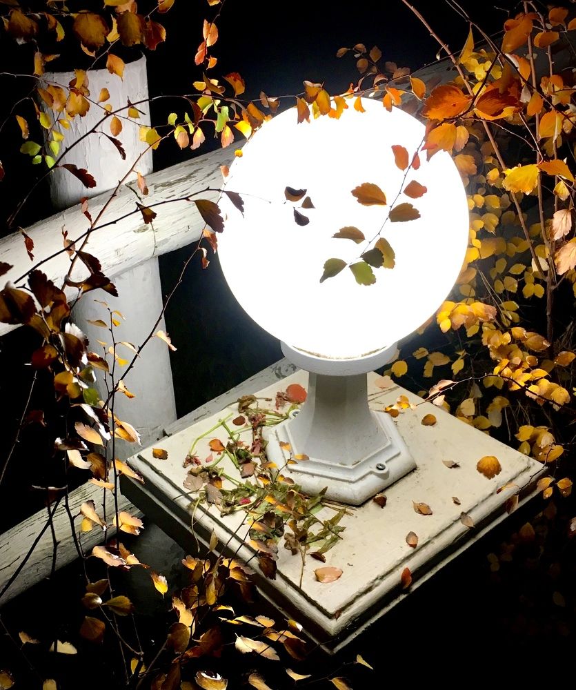 Photograph by Алексей Романов