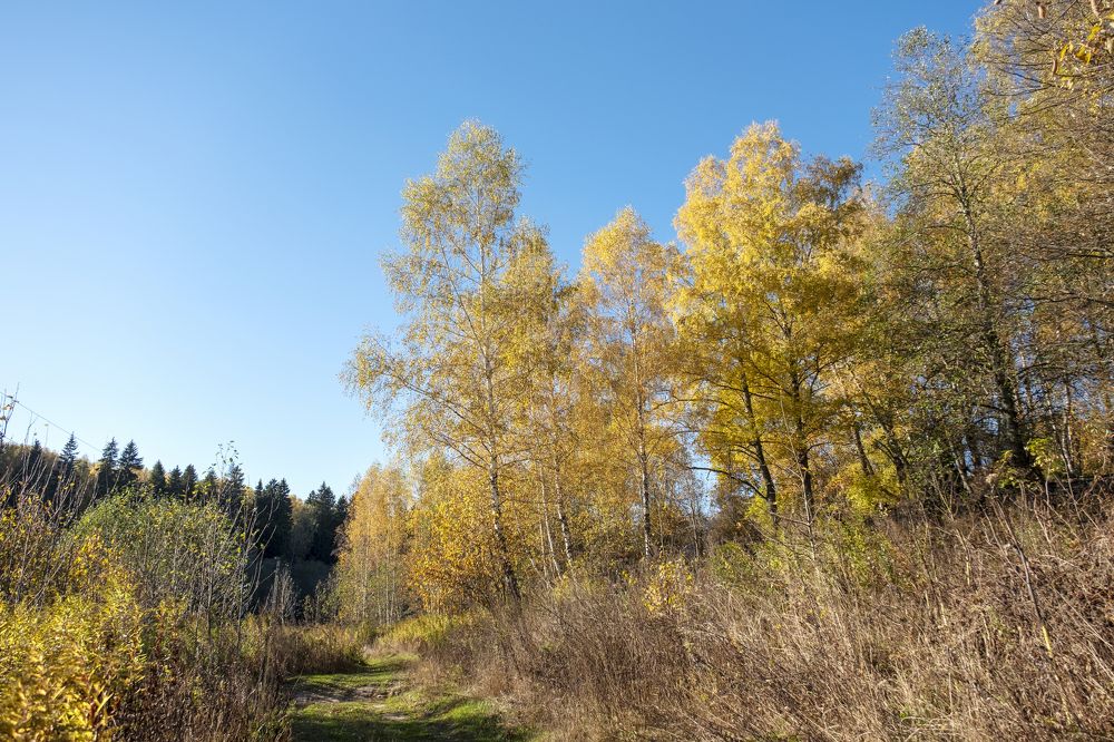 Photograph by Серебренников Михаил