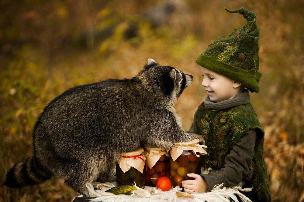 Лесные истории