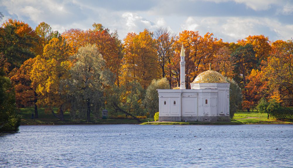 Фотография автора Ольга Левакова