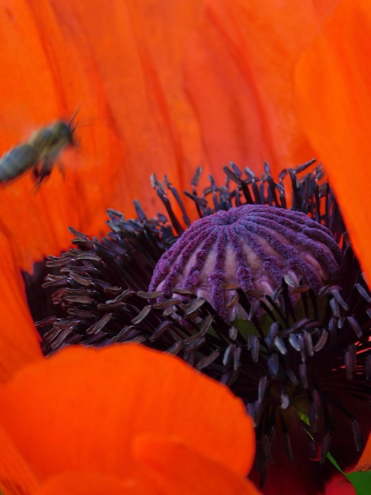 Photograph by Светлана Филимонова