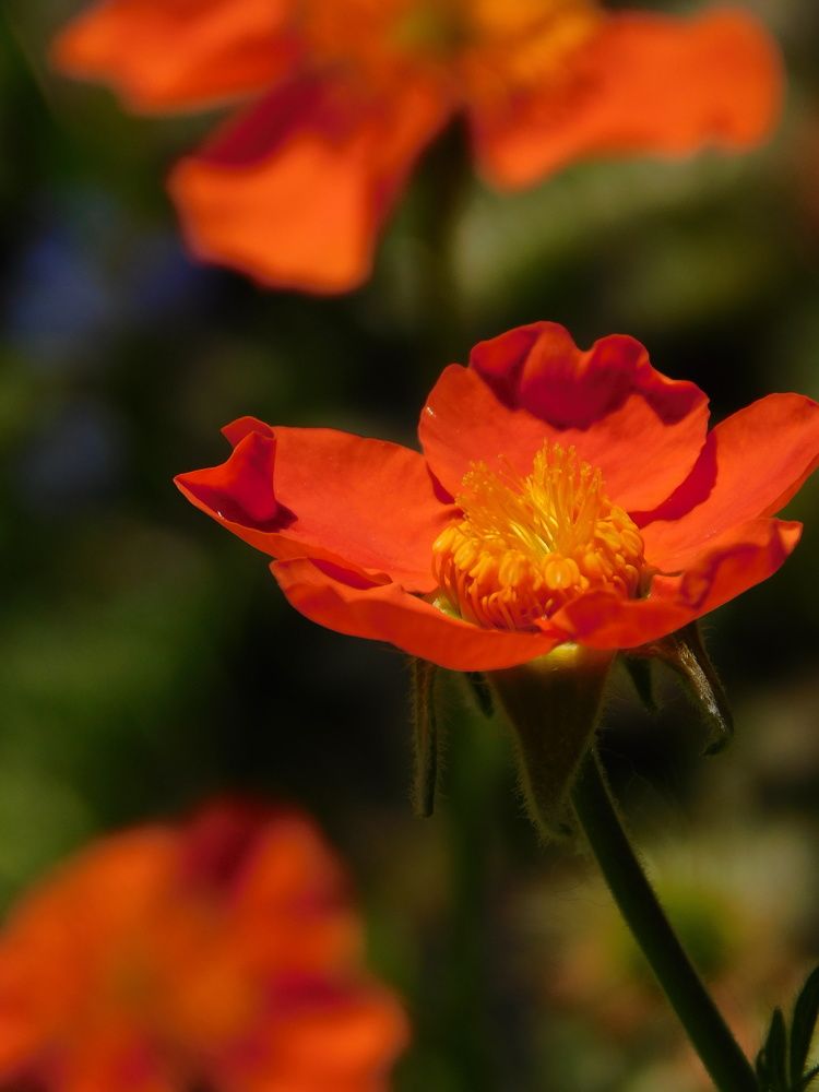 Photograph by Светлана Филимонова