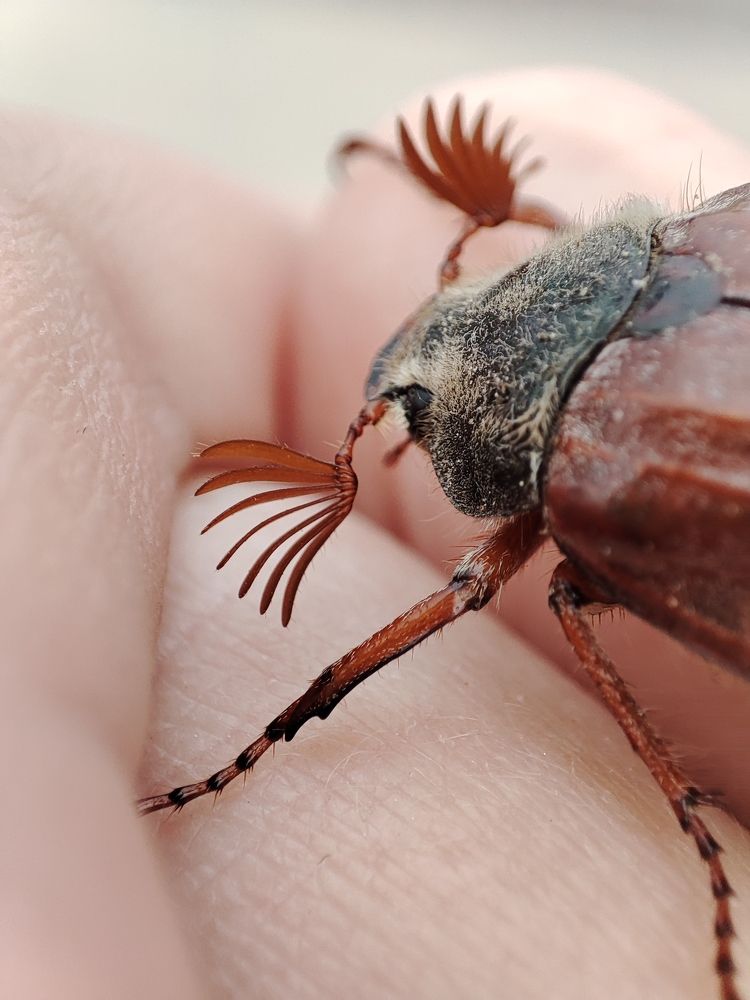 Photograph by Ольга Сучкова