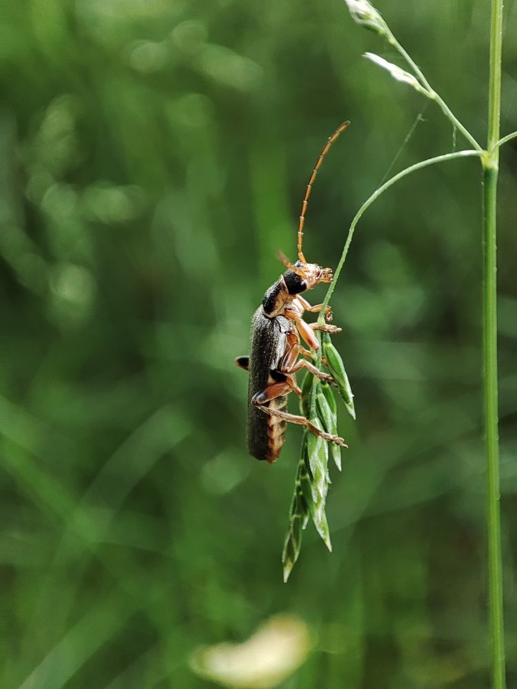 Photograph by Ольга Сучкова
