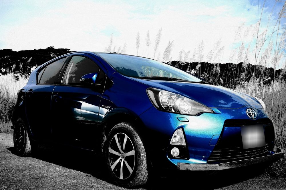 Photograph by Mostafa Shahriar