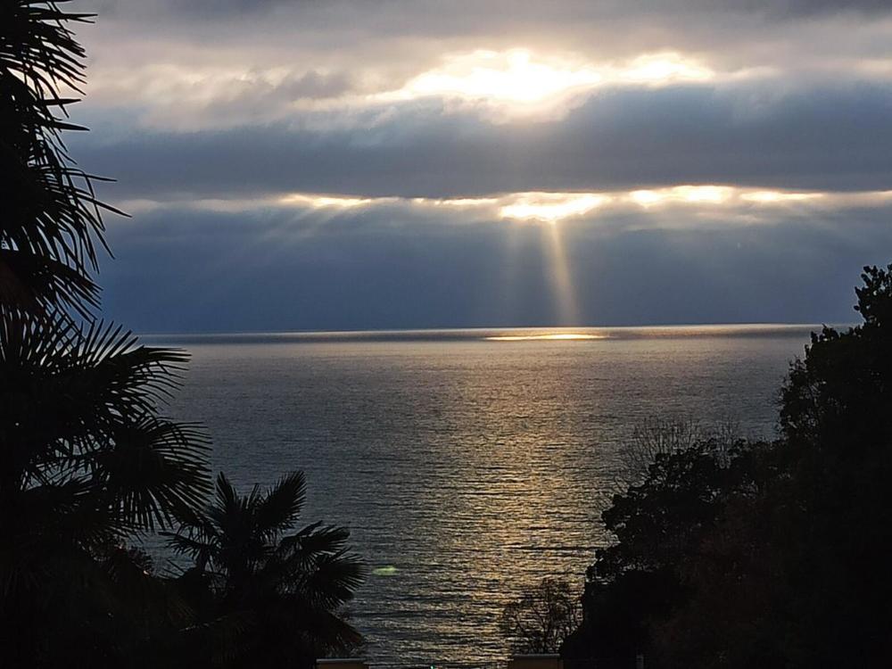 Photograph by Тихонова Ольга