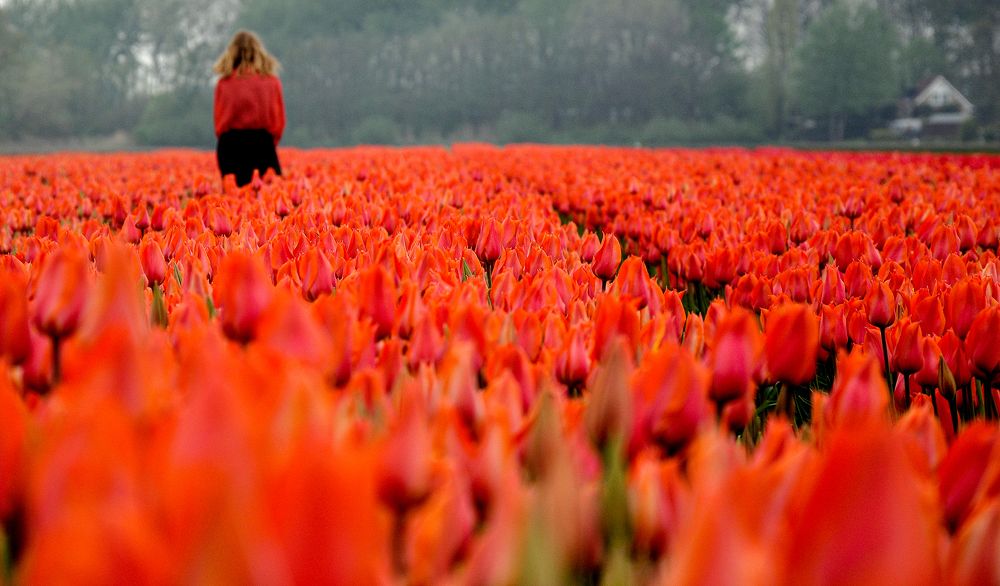 Фотография автора Ковяк Сергей Васильевич