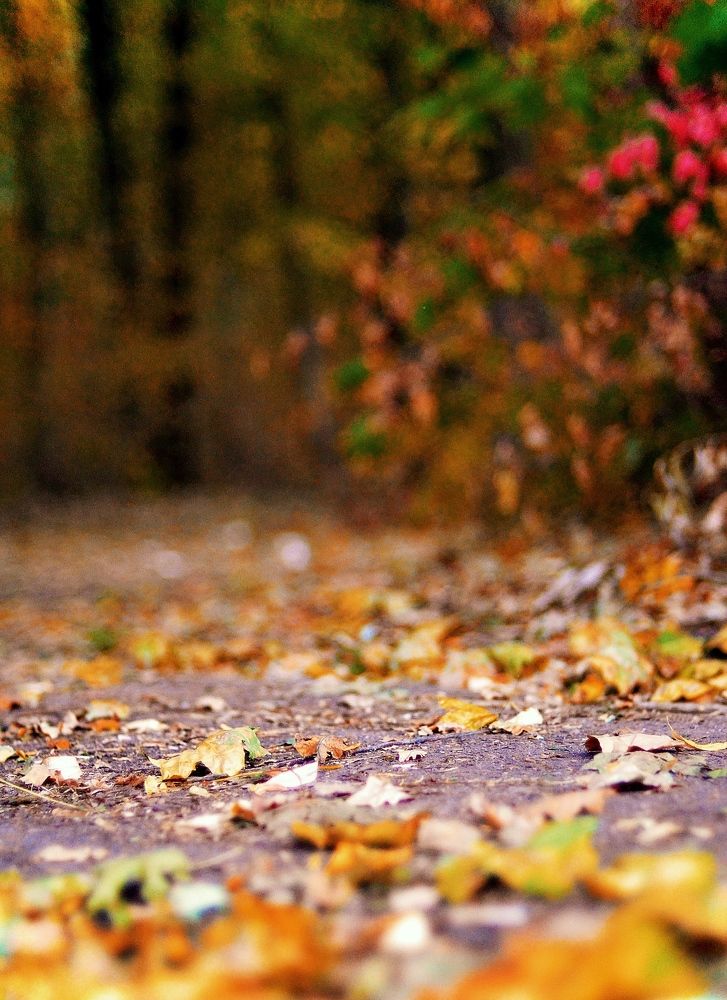 Photograph by Natasha Efanova