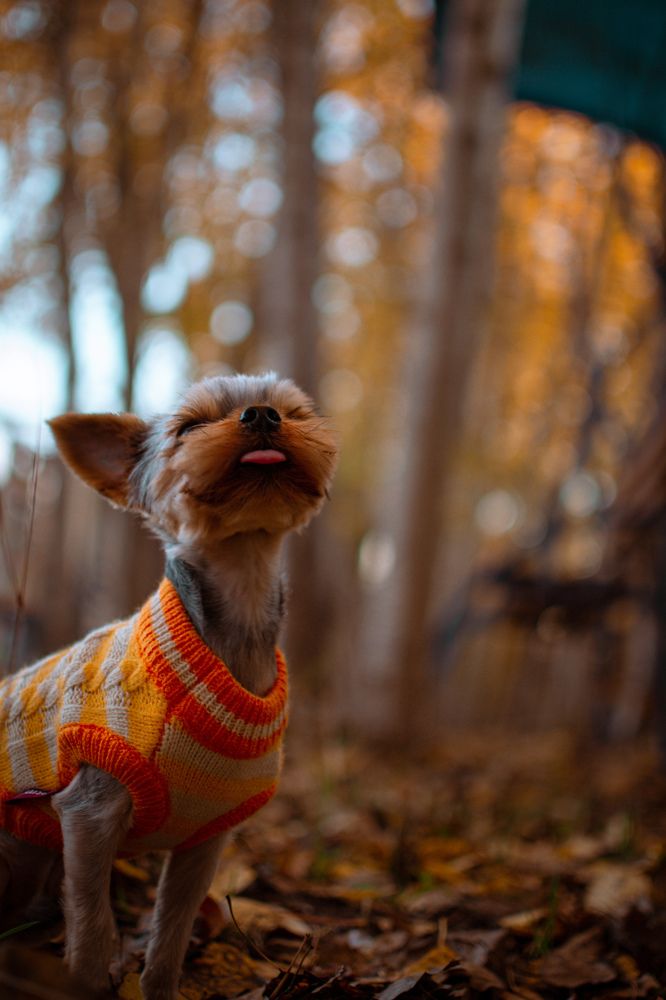 Photograph by Денис Нарышев