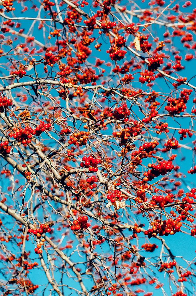 Photograph by Татьяна Шевченко