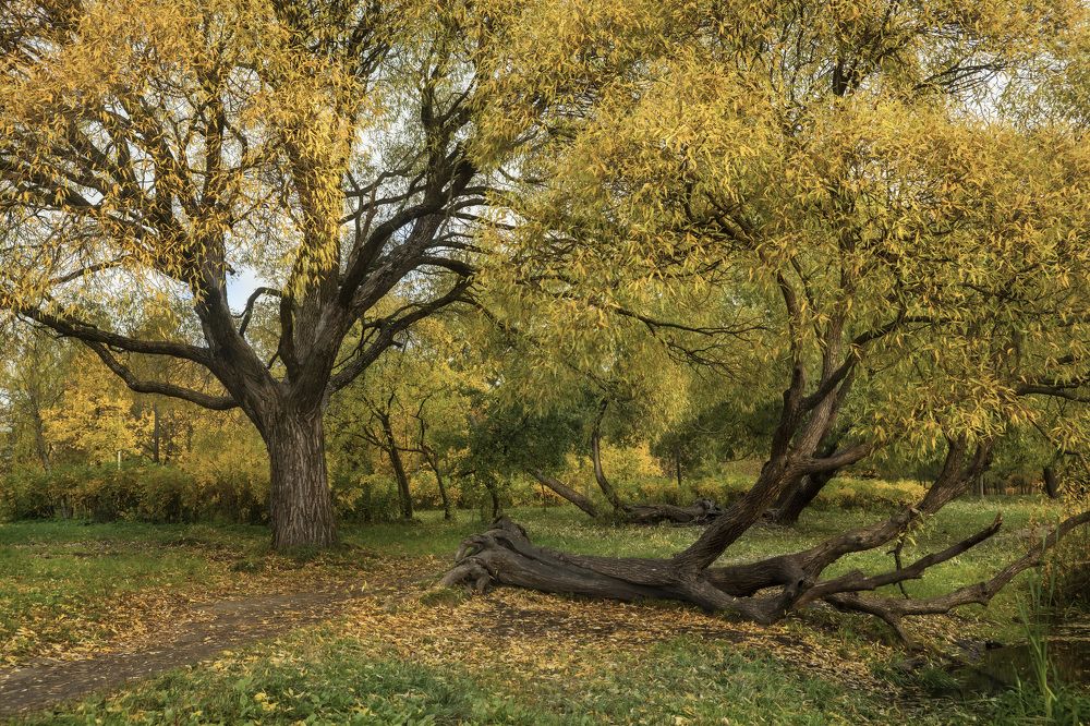 Фотография автора Галина