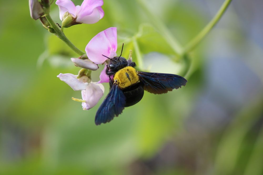 Photograph by Mostafa Shahriar