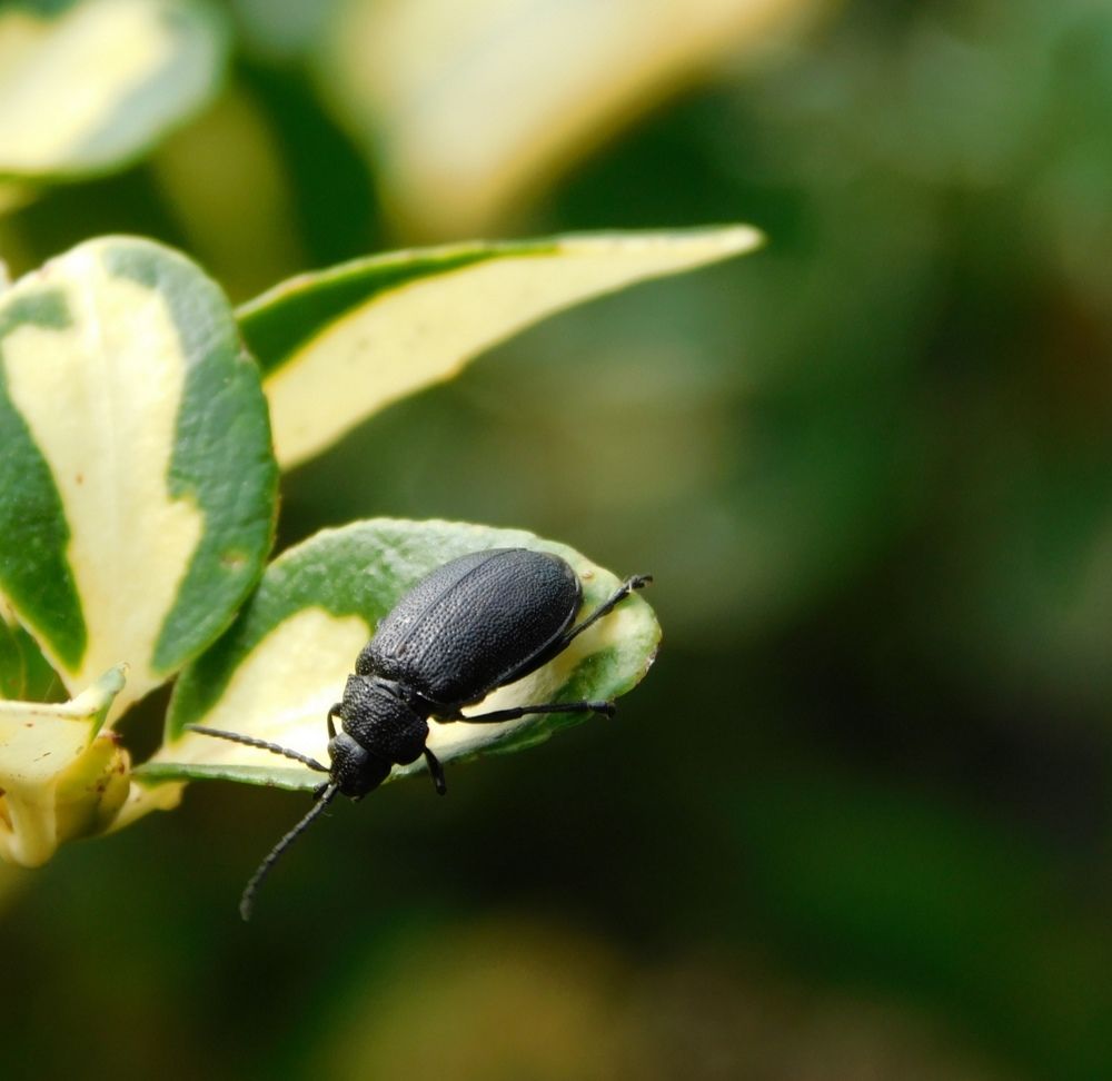 Photograph by Светлана Филимонова