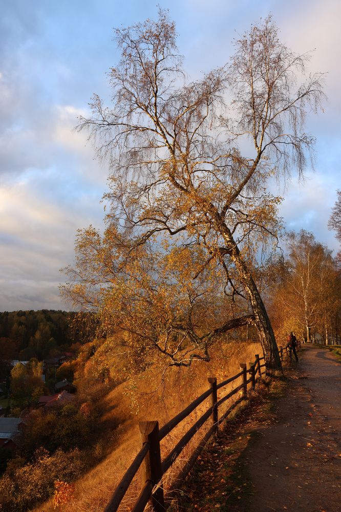 Photograph by Илья Пономарев