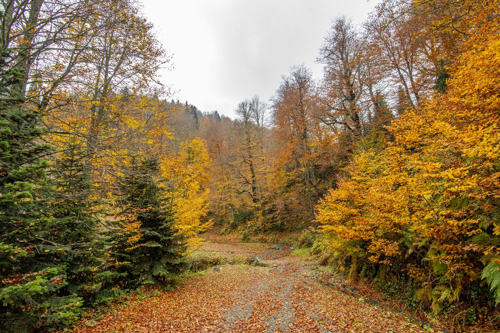 Photograph by mehmet enver karanfil