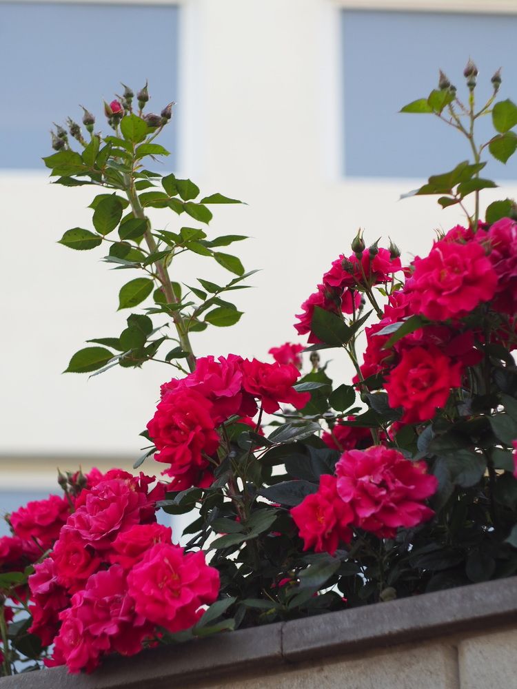 Photograph by Татьяна Шевченко