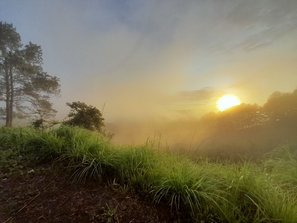 Green mountain in surise.