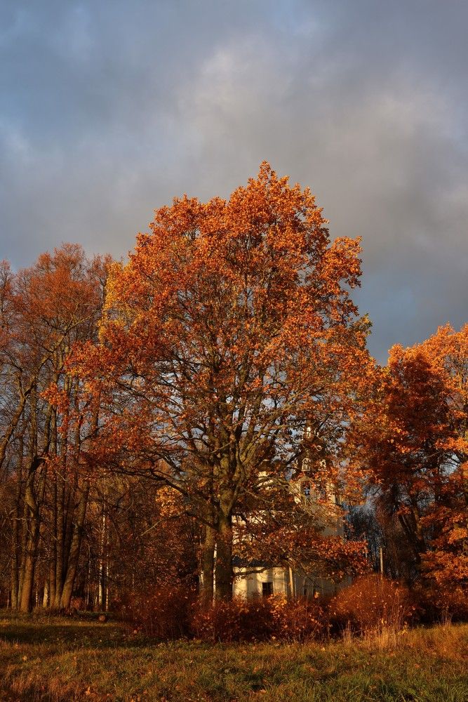 Photograph by Илья Пономарев