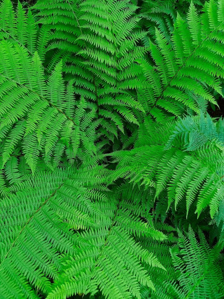 Photograph by Viktoria Vavilkina