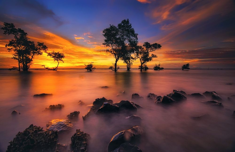 Photograph by Henri Fitriadi
