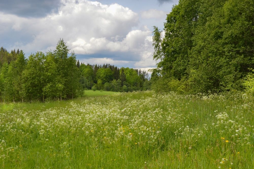 Photograph by Екатерина Казарцева