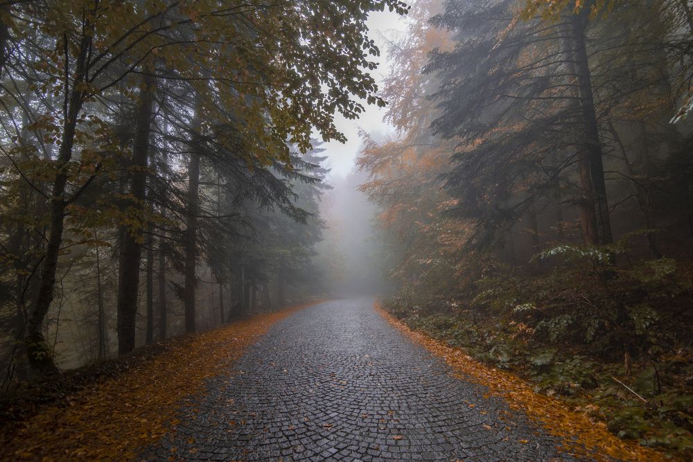 Photograph by mehmet enver karanfil