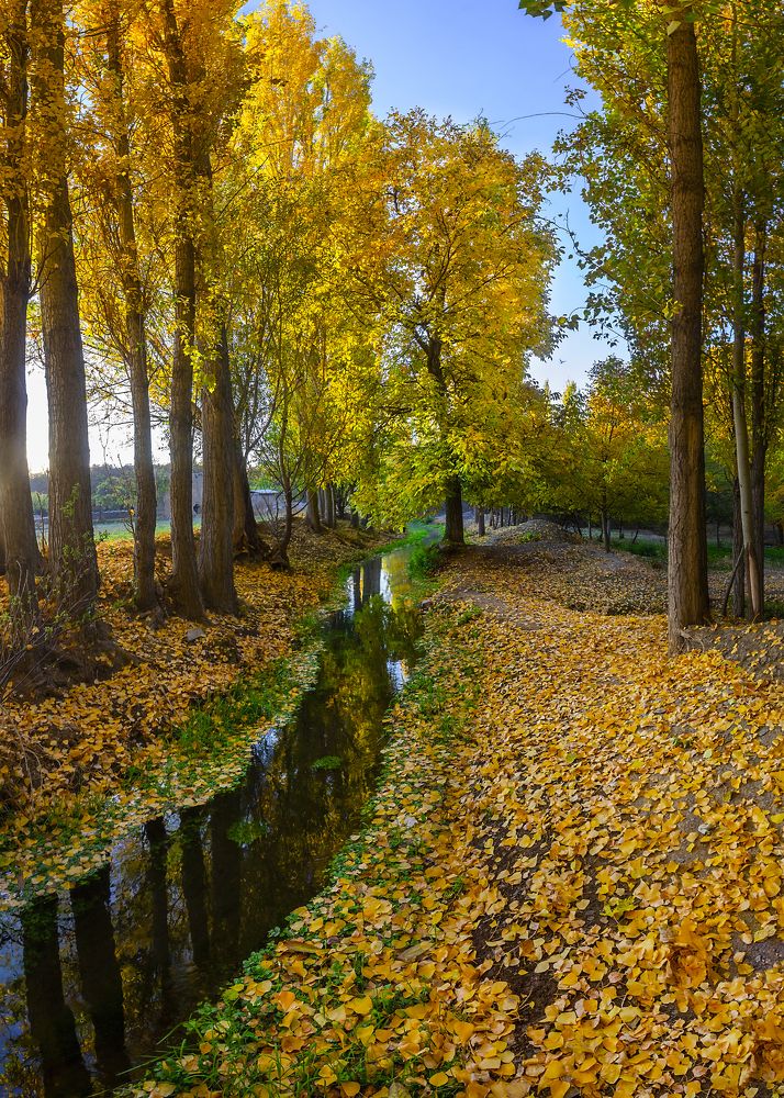 Фотография автора majid arab