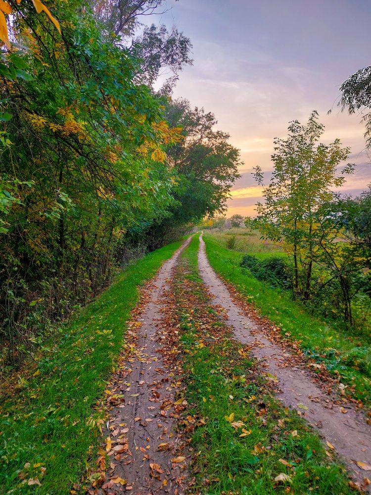 Photograph by Olga Matiashova