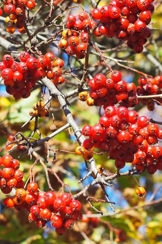 Photograph by Татьяна Шевченко