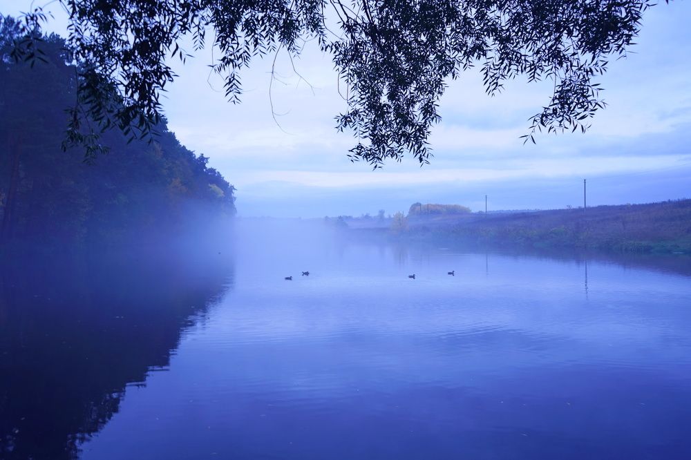 Photograph by Елена Копейкина