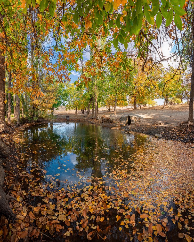 Фотография автора majid arab