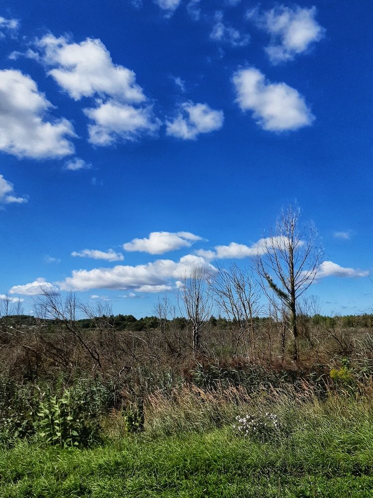 Photograph by Александра Кропивка