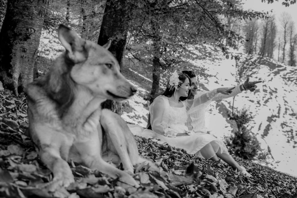 Photograph by Mohammad Reza Borji