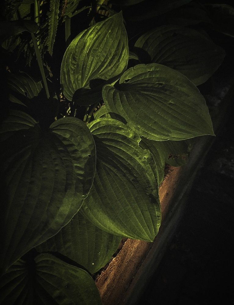 Photograph by Александра Кропивка