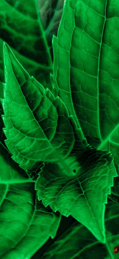 Photograph by Александра Кропивка