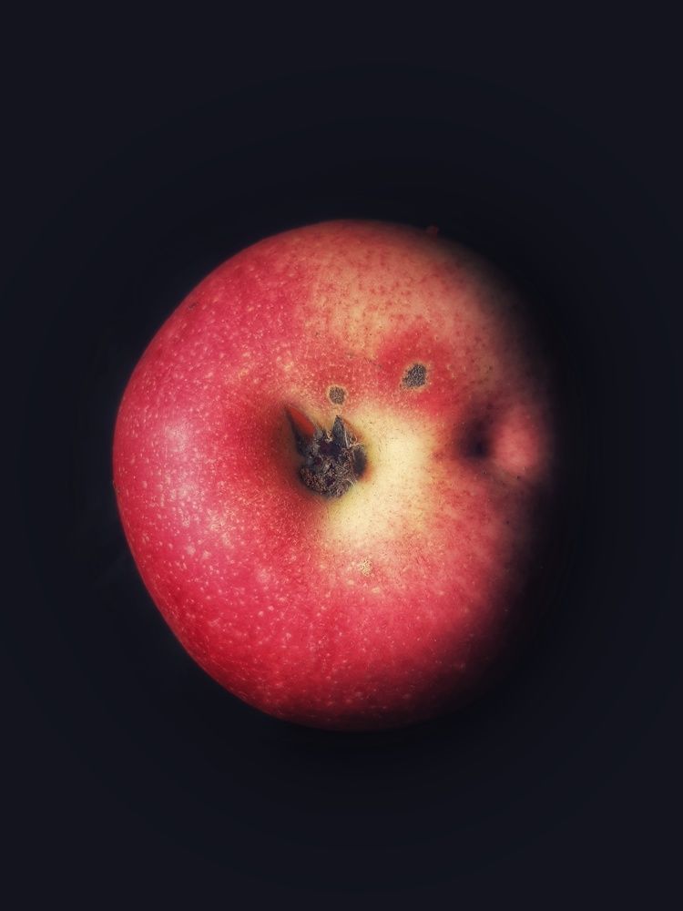 Photograph by Александра Кропивка