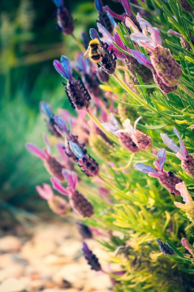 Photograph by Artiom Sechovcov