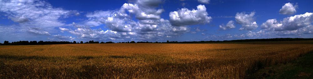 Фотография автора Dubravko Maricic