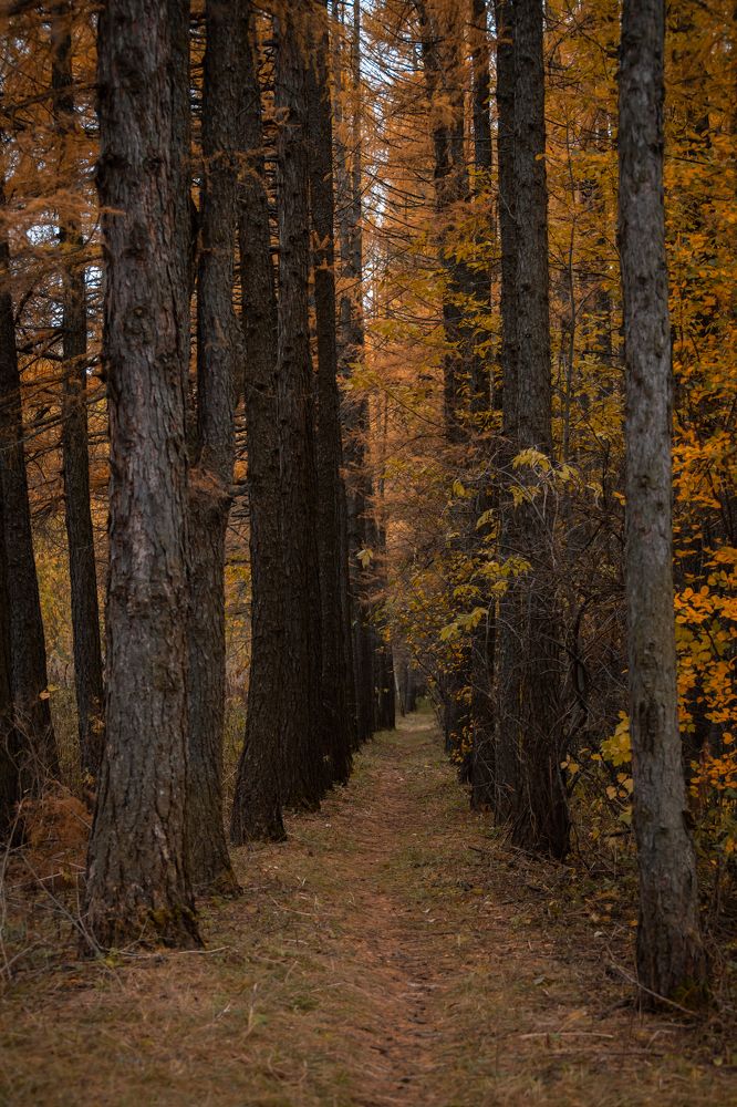 Фотография автора Войнов Дмитрий
