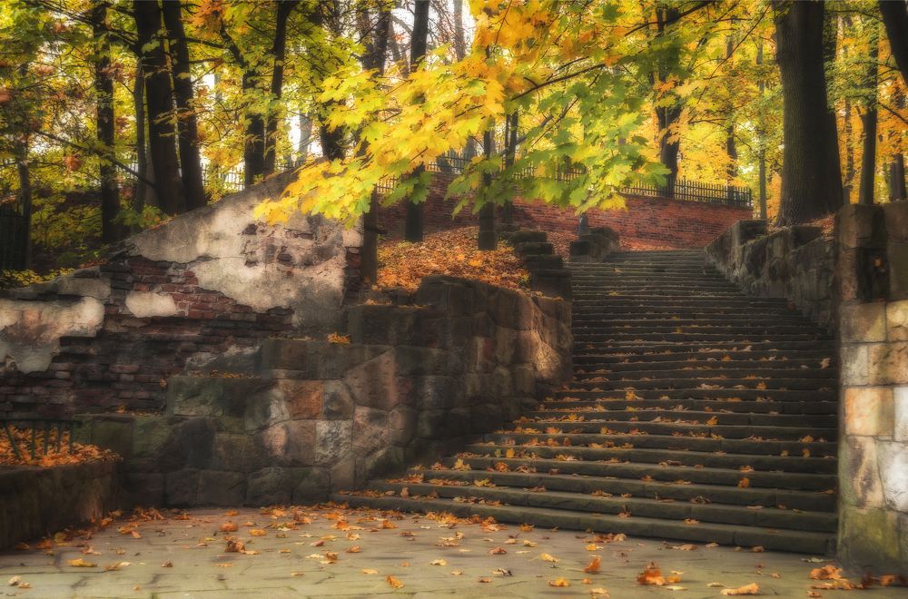 Photograph by Светлана Мельник