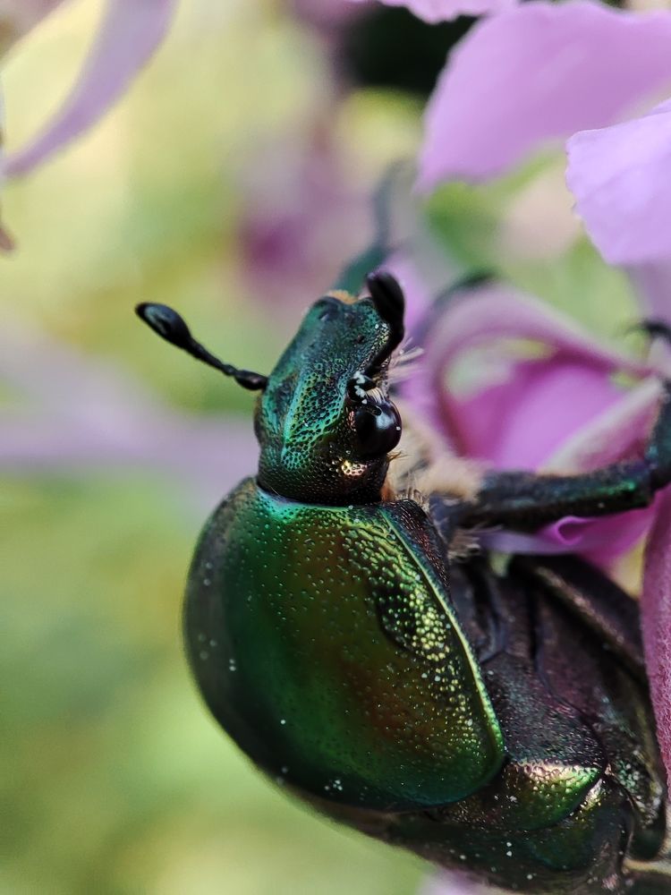 Photograph by Ольга Сучкова