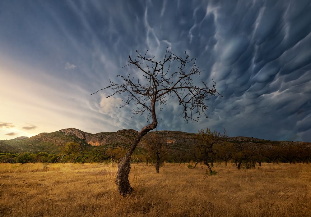 Photograph by Camacho Anto