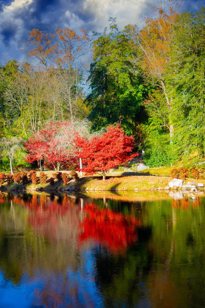 Фотография автора Miguel