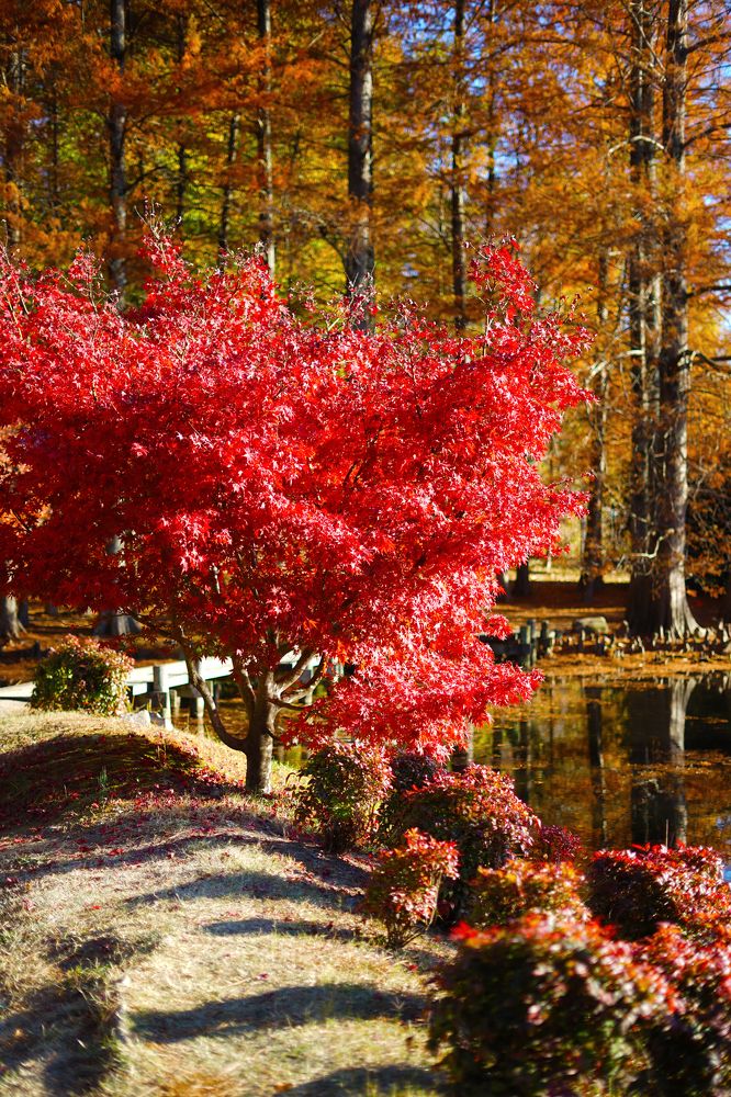 Фотография автора Miguel