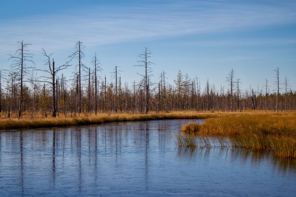 Photograph by Наталья Баруля