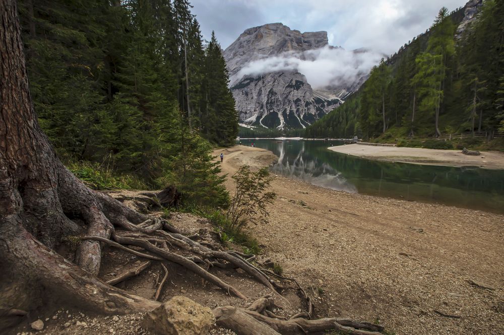 Photograph by Валентина Булкина