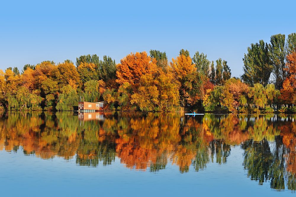 Photograph by Татьяна Калмацуй