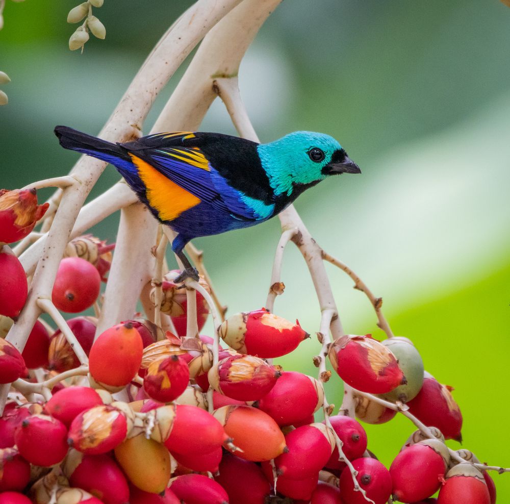 Photograph by Thiago Zanetti