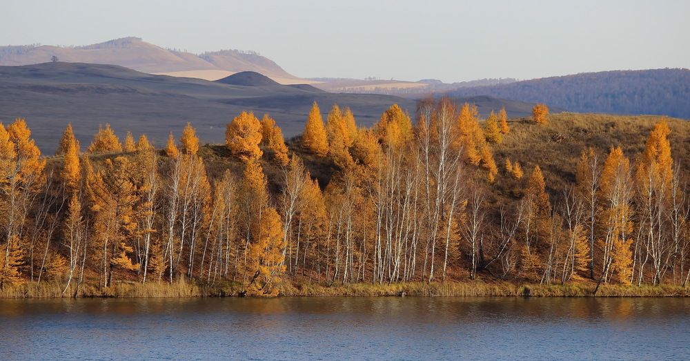 Photograph by Наталья Юрова